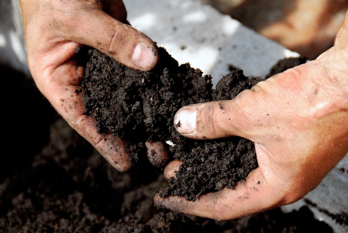 Soil Fertilization