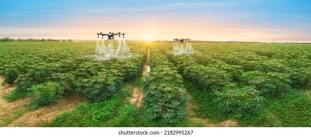 Agricultural automation