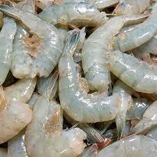 Fresh Shrimp