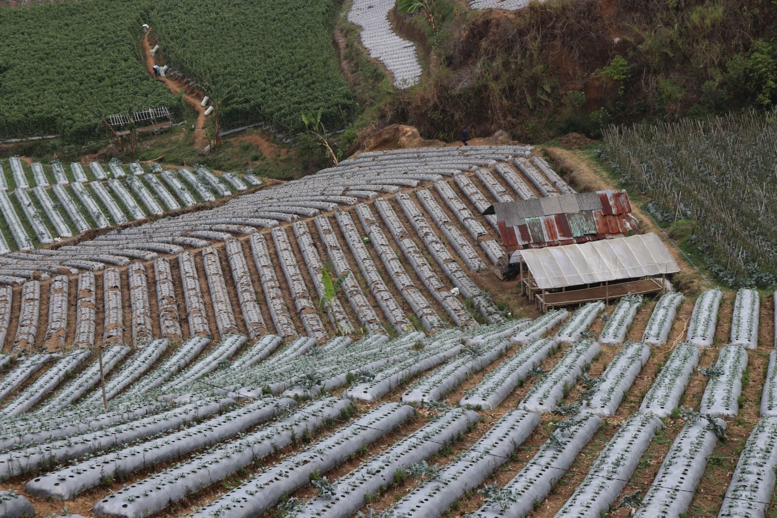 Agricultural Business