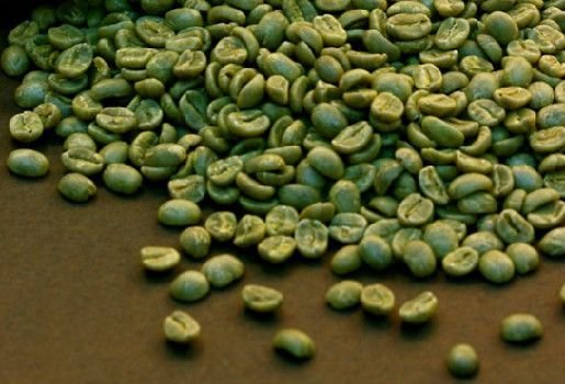 Green Coffee Investment