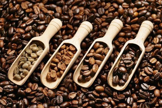 Investing in Luwak Coffee