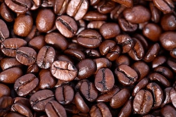 Coffee Investment Potential