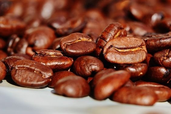 Arabica Coffee Business Investment