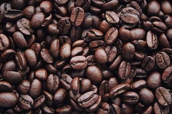 Investing in Organic Arabica Coffee