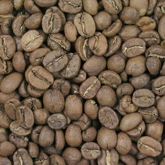 Sulawesi Coffee Investment