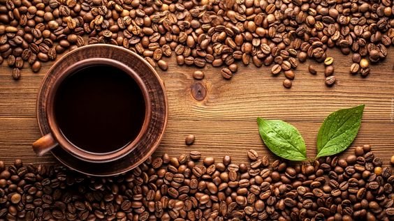 Best Brazilian Coffee Investment