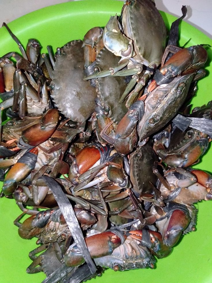 Crab Resource Management