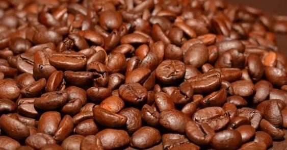 Robusta Coffee Plantation Investment