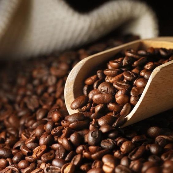 Coffee Investment Opportunities