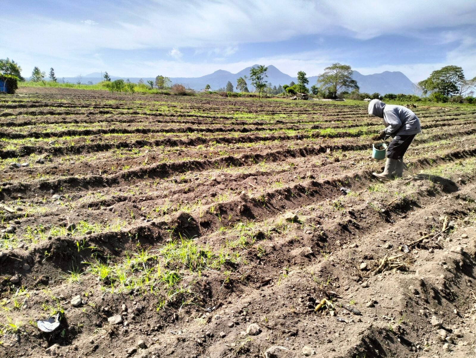 Successful Farmers