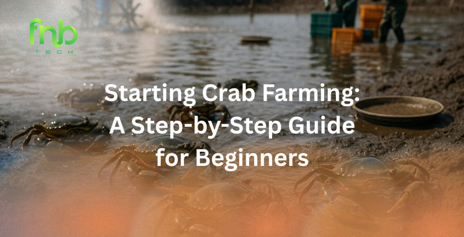 Crab Farming Guide
