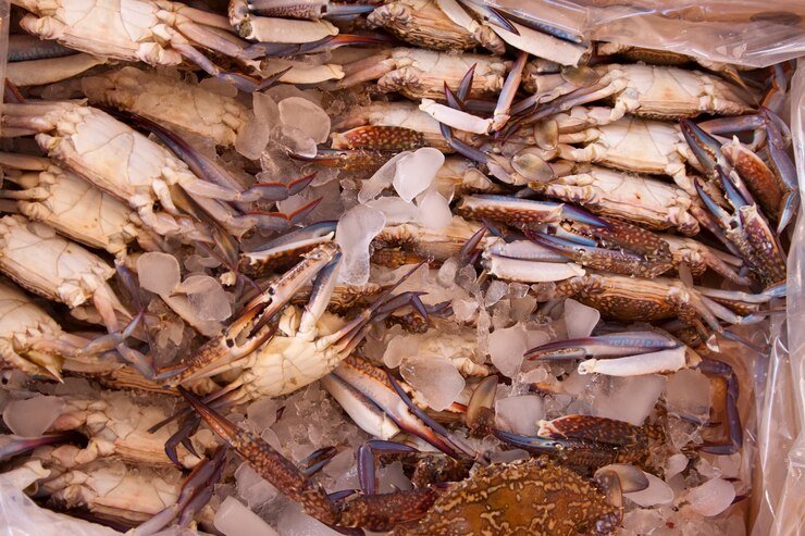 How to Begin Crab Farming