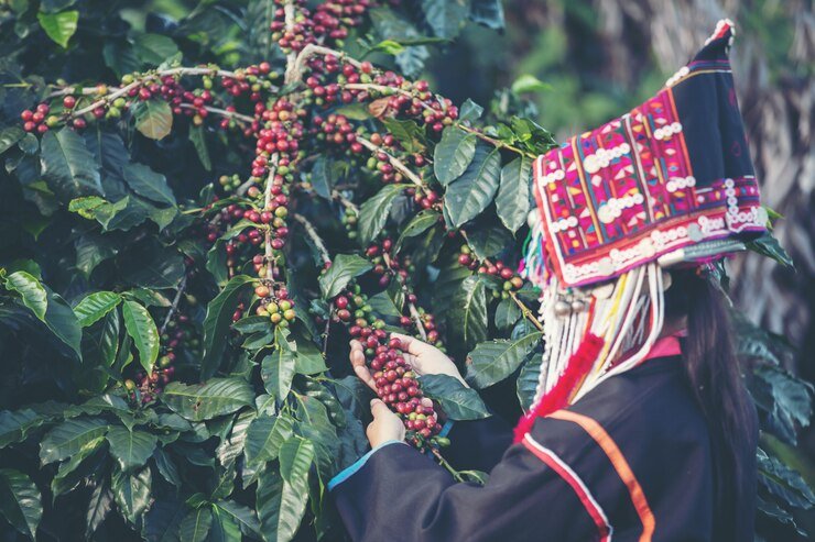 Coffee Farmer in Asia