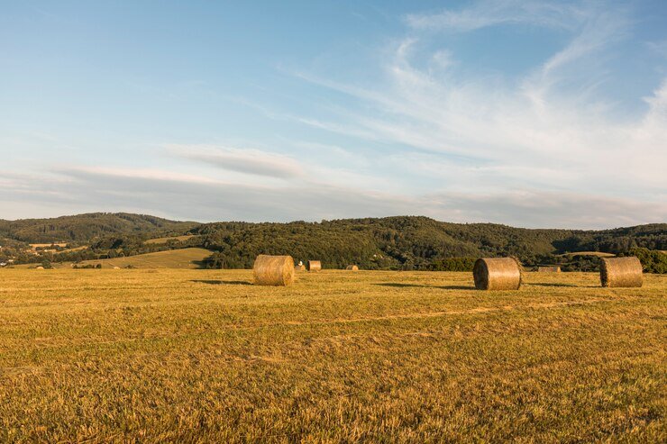 Land Lease for Farmer