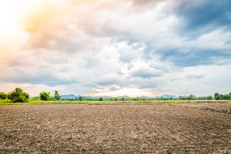 Land Rent for Farming