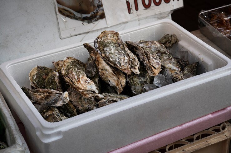 Oyster Farming in USA