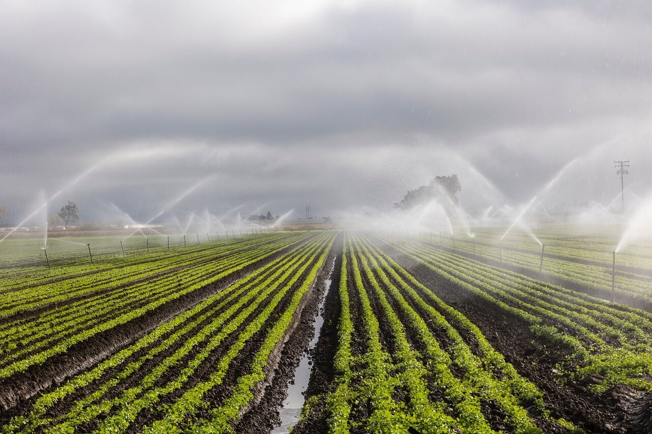 Smart Irrigation Systems