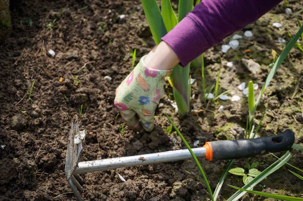 Smart Weeding Systems