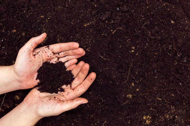 Soil Fertility