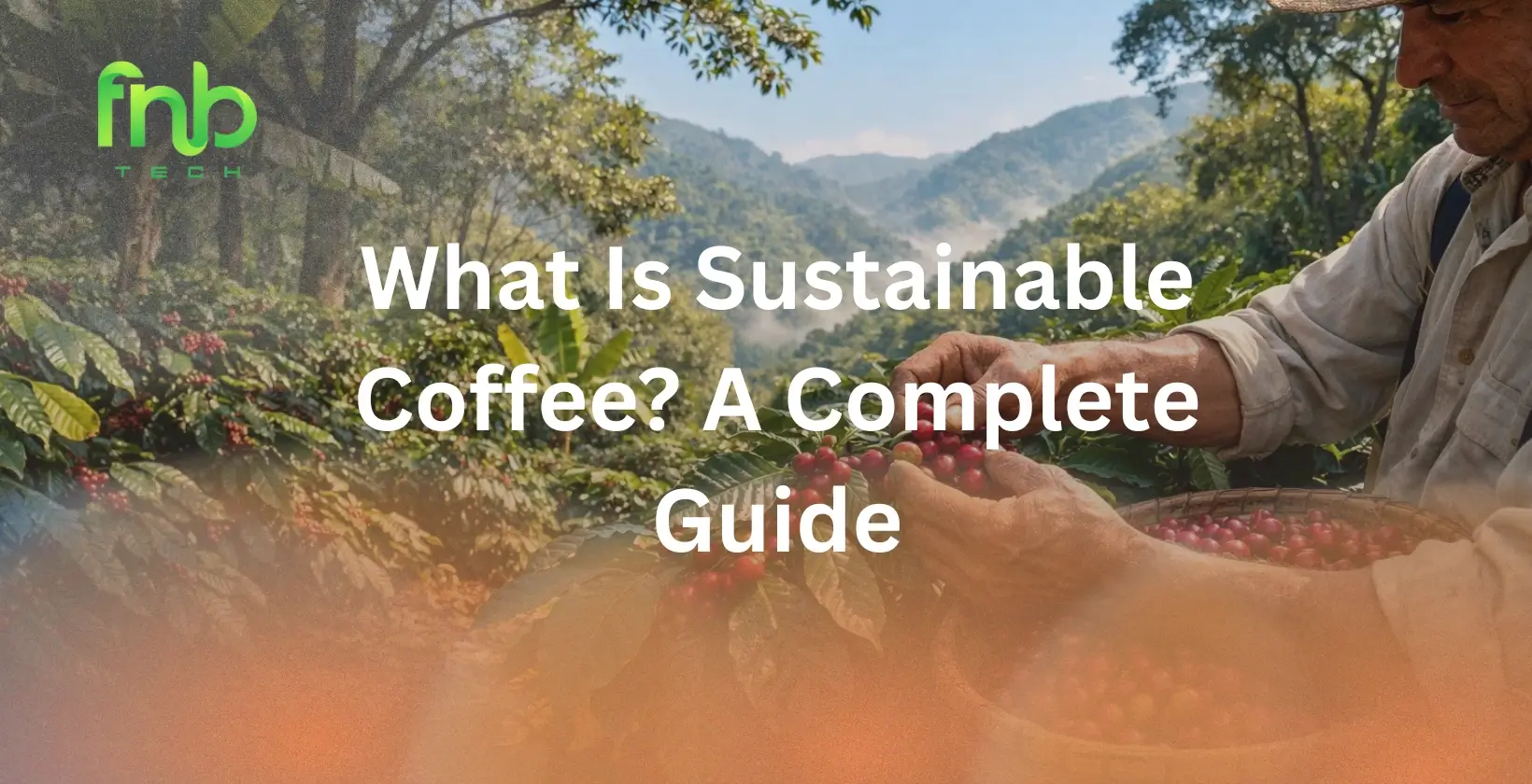 Sustainable Coffee