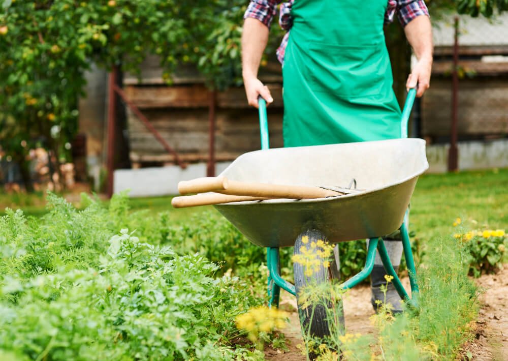 Wheelbarrow farming tools