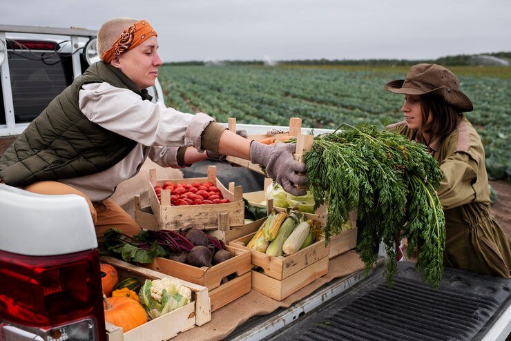 Commodity Farming