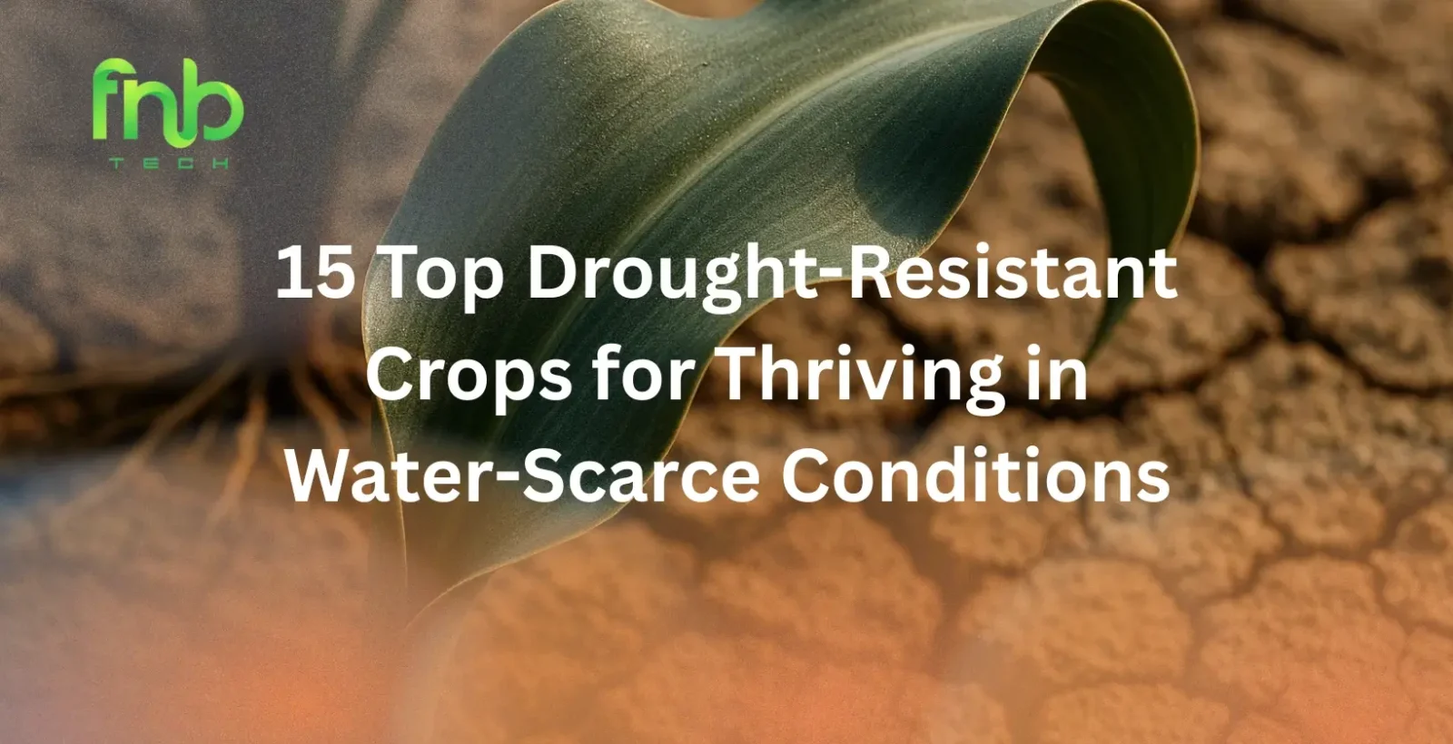 Drought-Resistant Crops