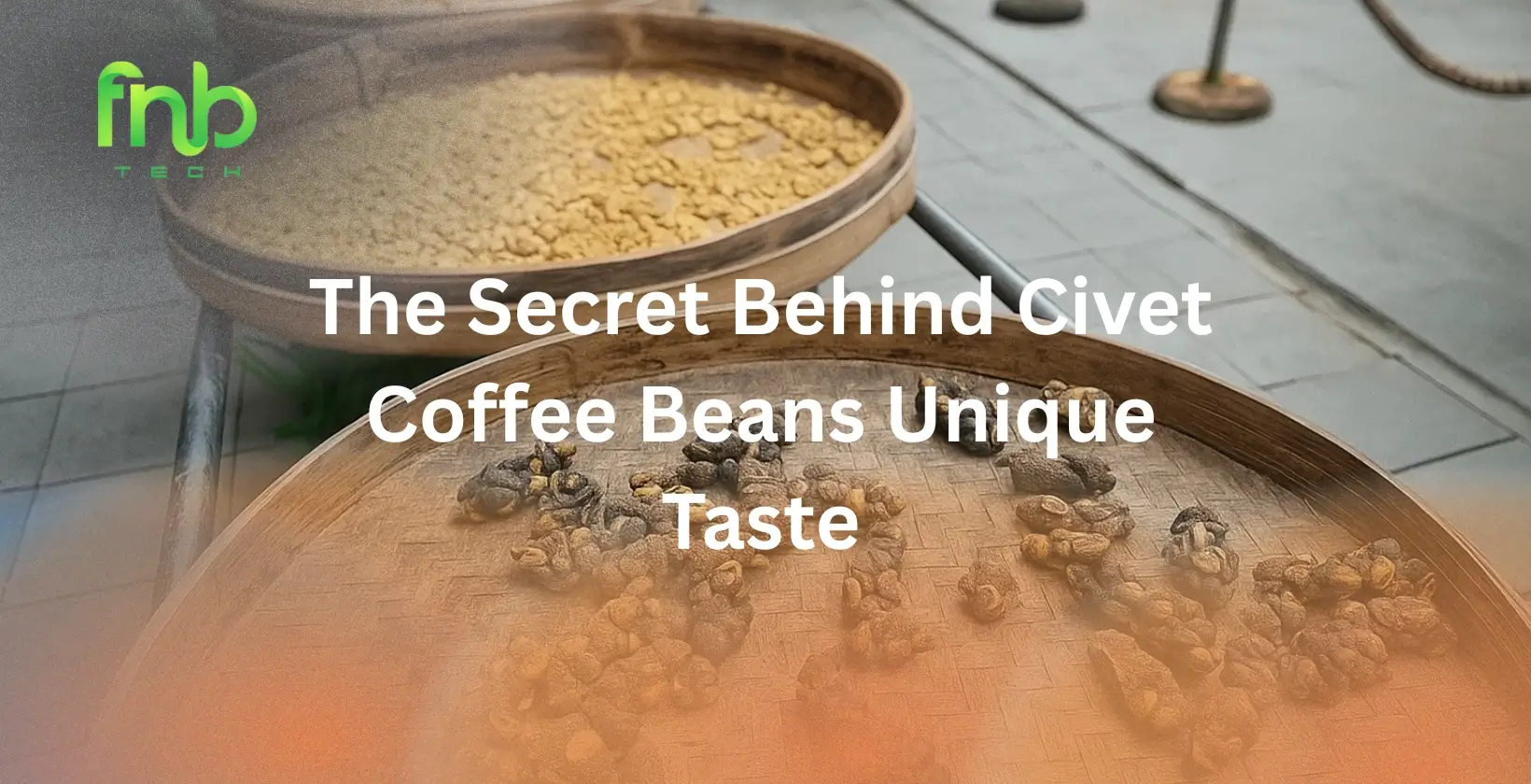 Civet Coffee Beans