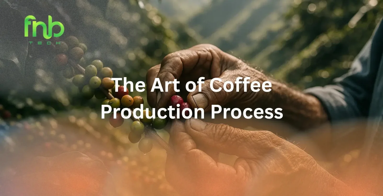 Coffee Production Process