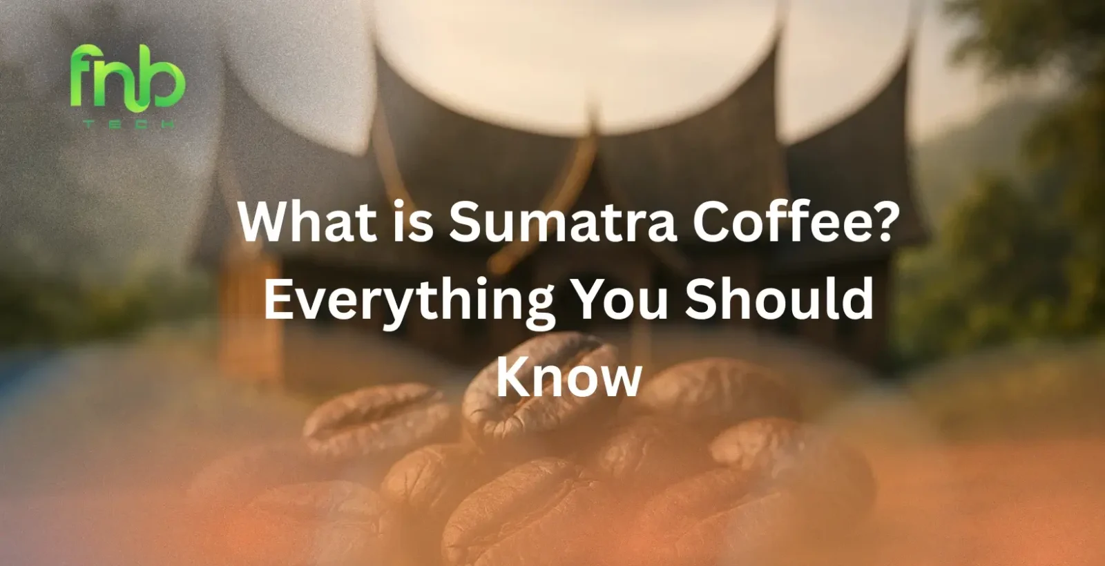 Sumatra Coffee Beans