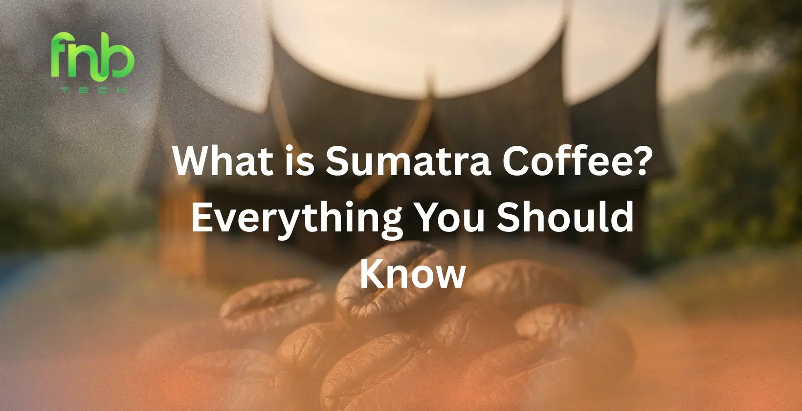 Sumatra Coffee Beans