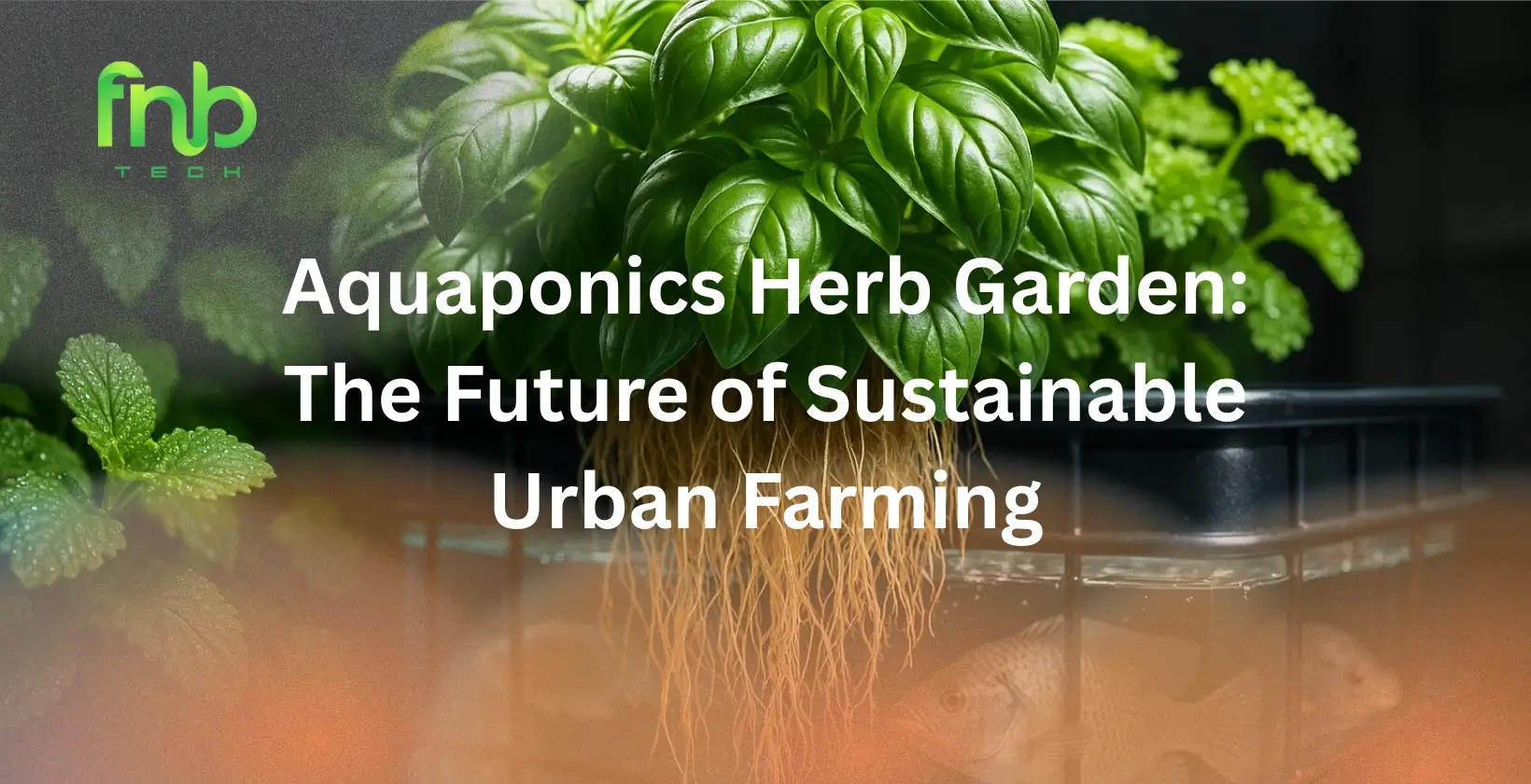 Aquaponics Herb Garden