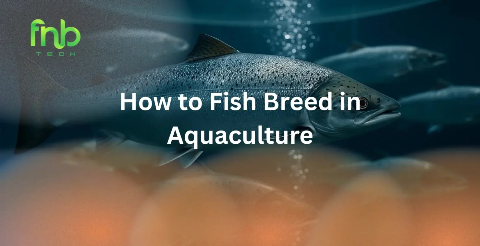 Fish Breed in Aquaculture