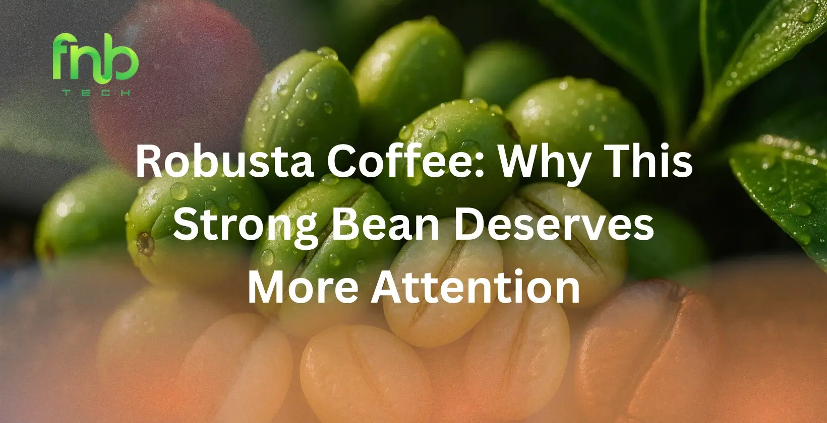 Robusta Coffee Beans
