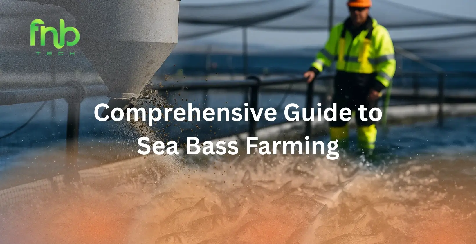 Sea Bass Farming