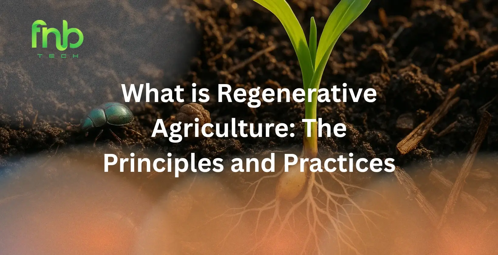Regenerative Agriculture