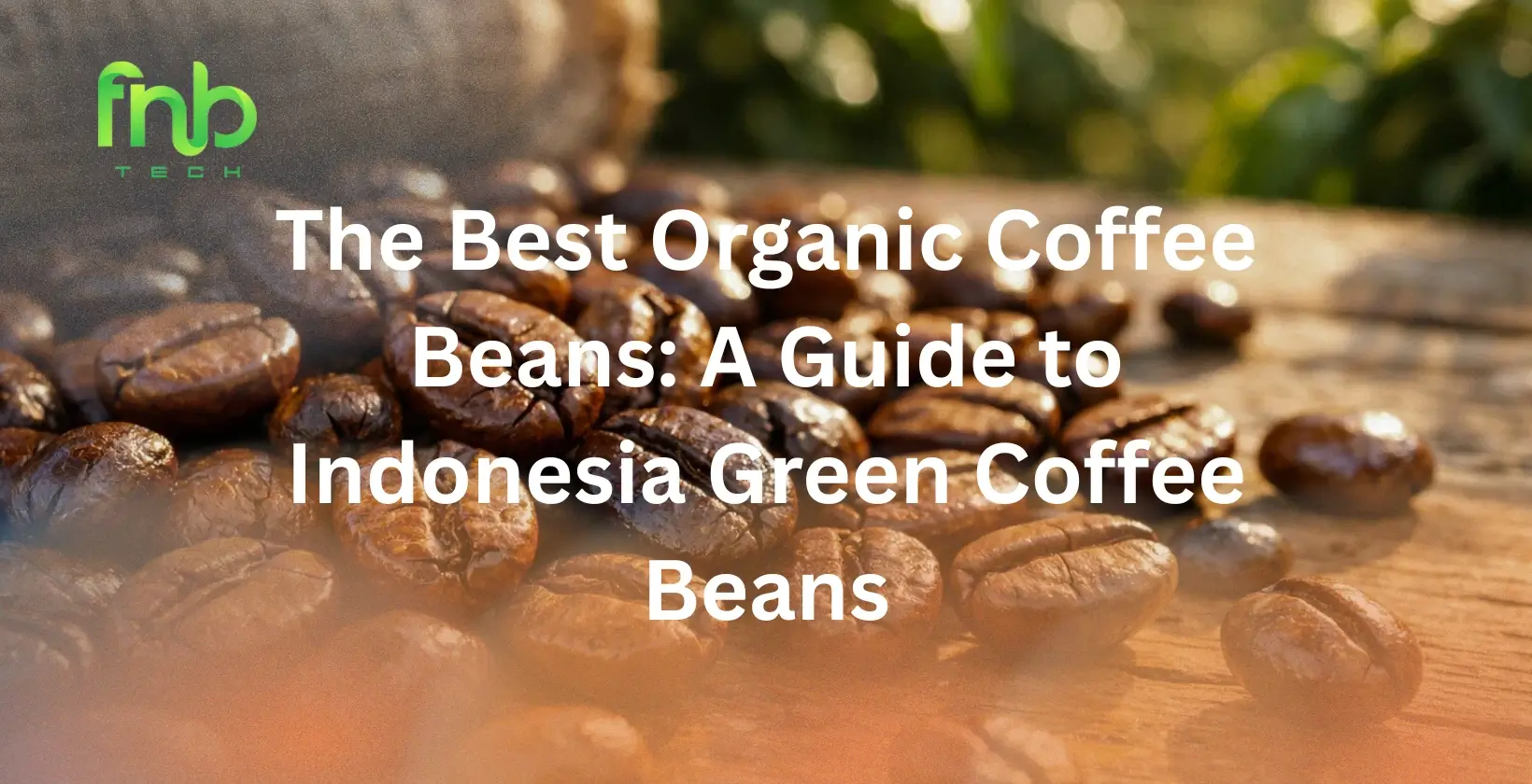 Best Organic Coffee Beans