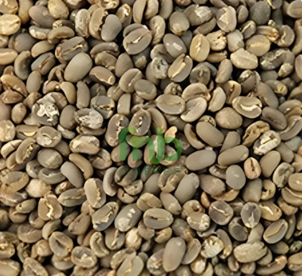 Bali Kintamani Arabica Coffee