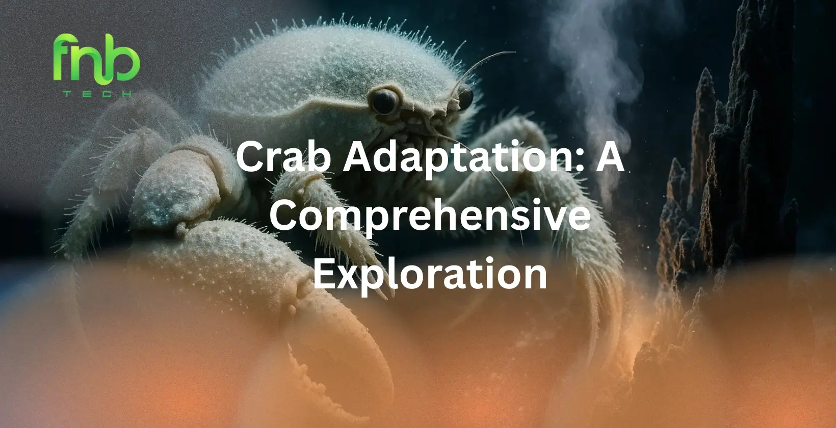 Crab Adaptation