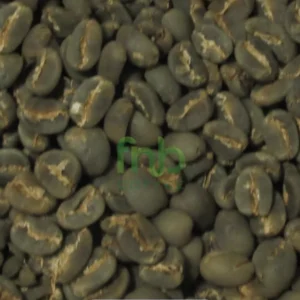ELB Green Dino