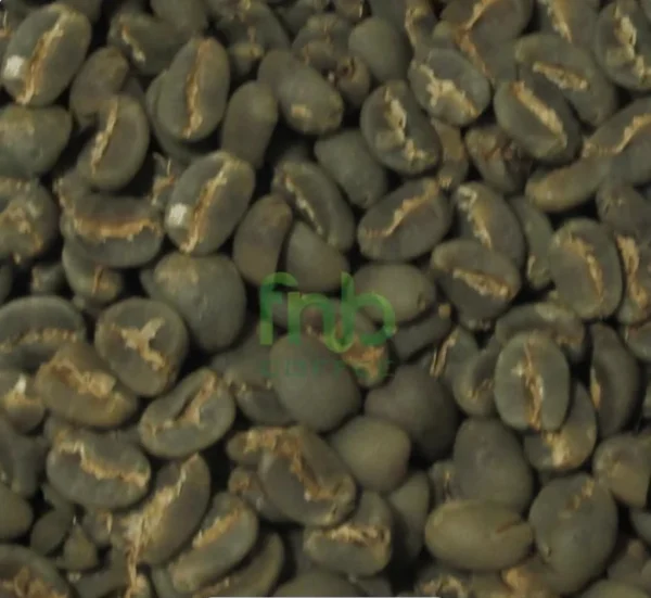 ELB Green Dino