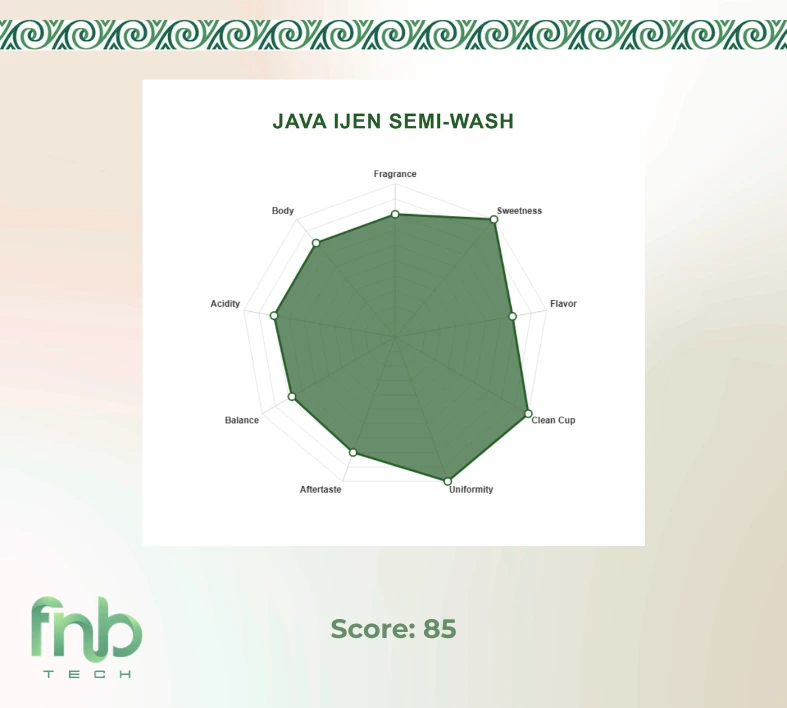 Java Ijen Coffee - Image 6