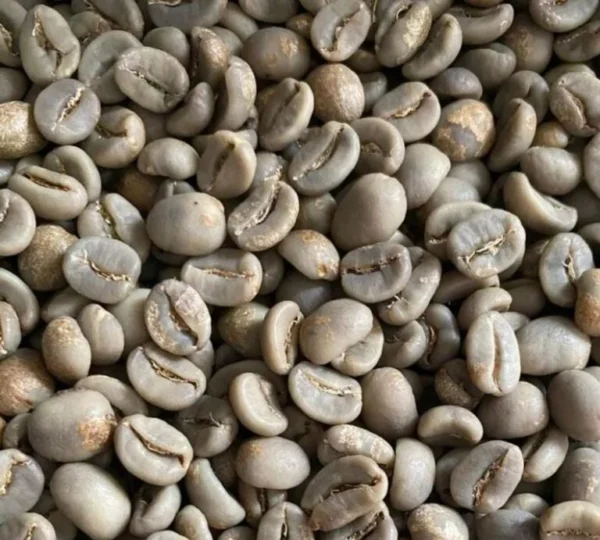 Gayo Black Honey
