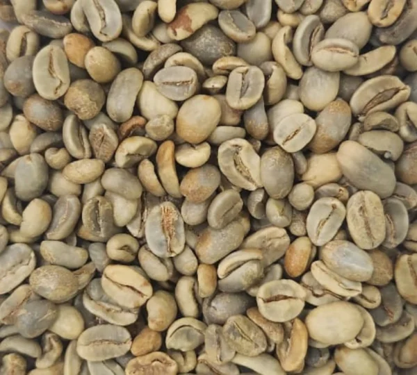 Aceh Gayo Coffee