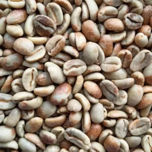 Gayo Honey Varietas Tim-Tim