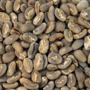 Gayo Long Berry