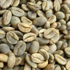 Gayo Natural Wine
