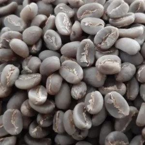 Gayo Red Bourbon