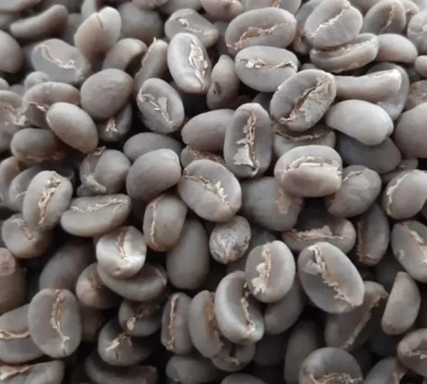Gayo Red Bourbon